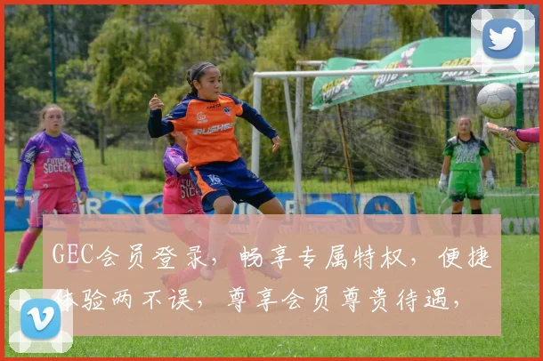 GEC会员登录，畅享专属特权，便捷体验两不误，尊享会员尊贵待遇，立即登录