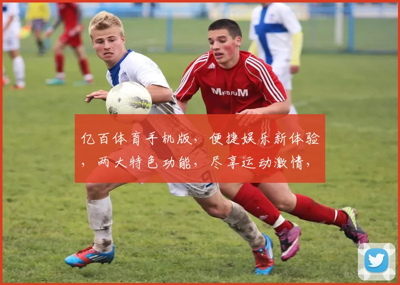亿百体育手机版，便捷娱乐新体验，两大特色功能，尽享运动激情，一触即达