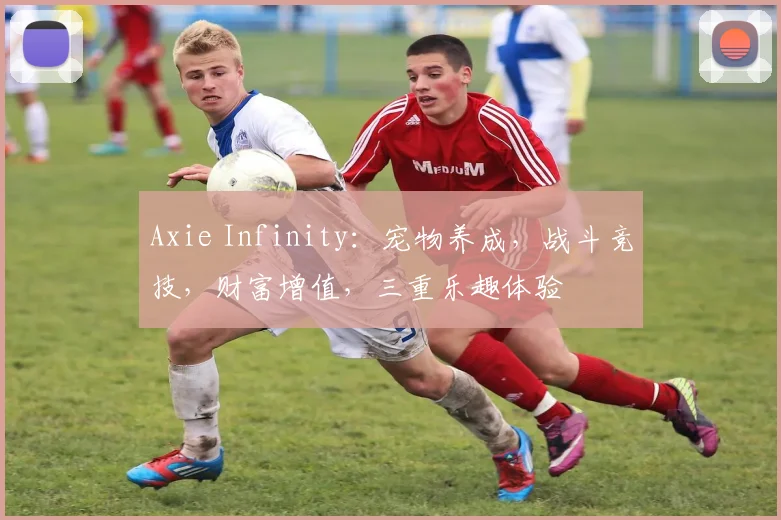 Axie Infinity：宠物养成，战斗竞技，财富增值，三重乐趣体验