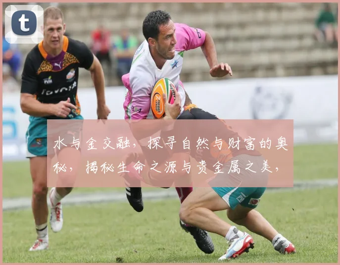 水与金交融，探寻自然与财富的奥秘，揭秘生命之源与贵金属之美，三重境界，一网打尽