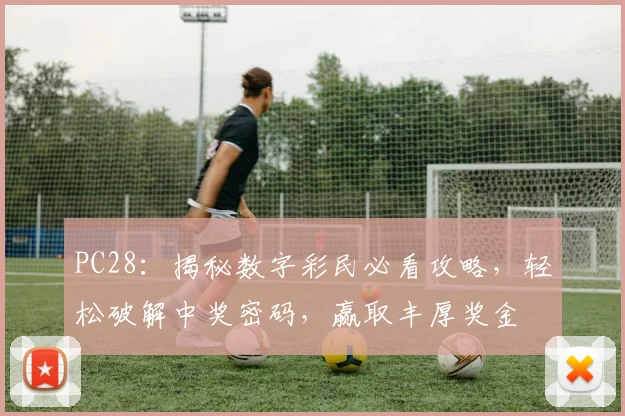 PC28：揭秘数字彩民必看攻略，轻松破解中奖密码，赢取丰厚奖金